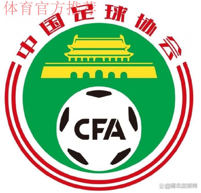 足球青训中心体系建设推进会在武汉召开